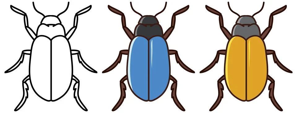 Ground Beetle Insect Vector Set in Outline and Color Stock Illustration