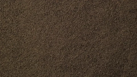 Ground black pepper close up top view Stock Footage 150724251