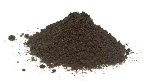 Ground black thyme Stock Photos