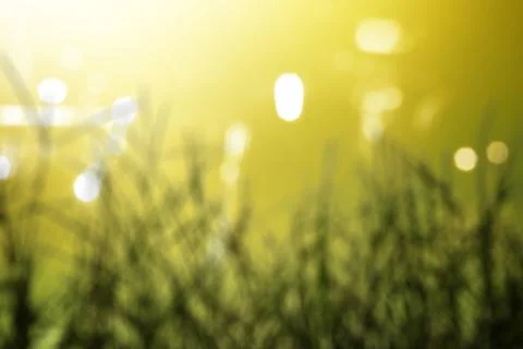 Ground with blurred light background Stock Photos