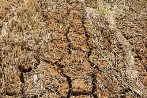 Ground broken. Stock Photos