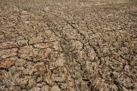 Ground broken. Stock Photos