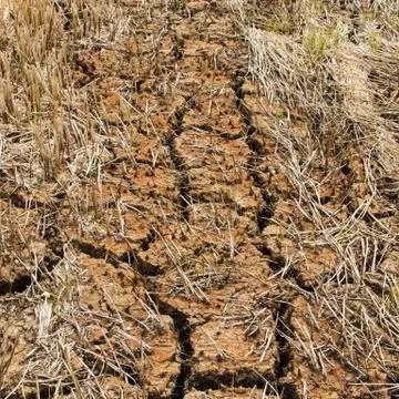 Ground broken. Stock Photos