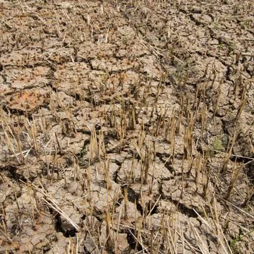 Ground broken. Stock Photos