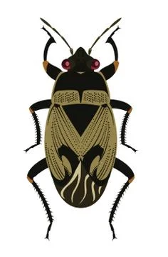 Ground bug Stock Illustration