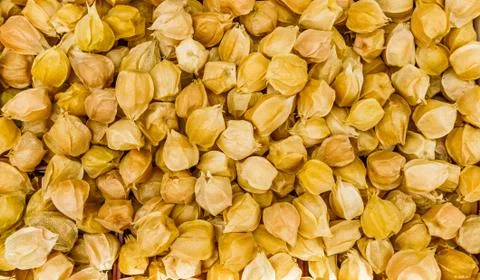 Ground Cherries texture Stock Photos
