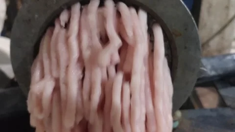 Ground chicken Stock Footage 274956444