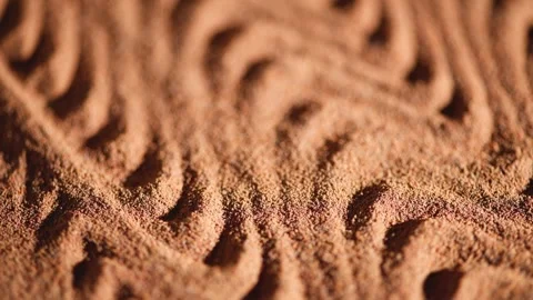 Ground chicory root forms a wavy pattern to create an interesting texture, the Stock Footage 313360202