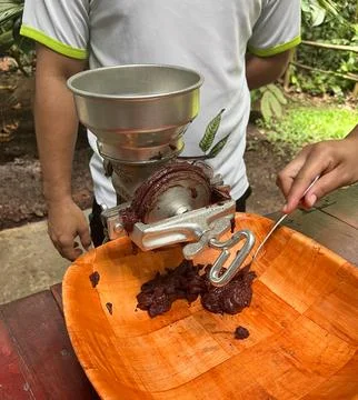 Ground cocoa beans for the production of cocoa mass. Stock Photos