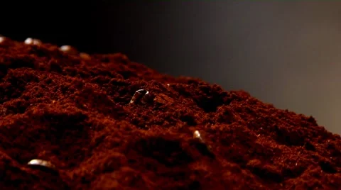 Ground coffee and coffee beans Video stock 8571447