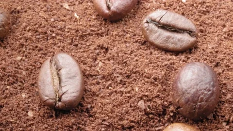Ground coffee and coffee beans close-up. Macro video. Видео 140998998