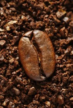 Ground coffee bean Stock Photos