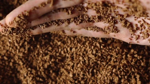 Ground coffee close-up in the men's hand Stock Footage 72251648