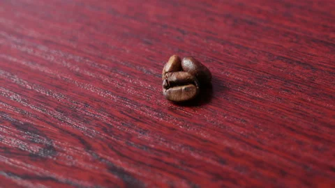 Ground Coffee Falls On Grains Stock-Footage 133121838