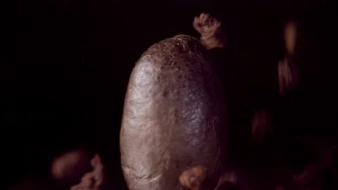 Ground coffee or chocolate powder granules coffee bean at 1000fps. Super slow Stock Footage 163723832