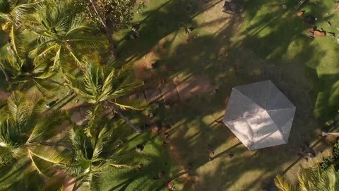 Ground control park 스톡 동영상 123645333