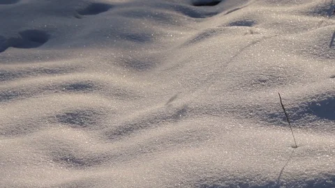 The ground is covered with snow Stock Footage 99146923