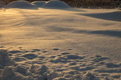 The ground is covered in a thick layer of snow, glowing with warm light from  Stock Photos