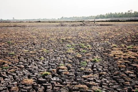 Ground of crack in summer. Foto stock