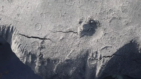 The ground cracked, splitting the dramatic effects of  earthquake. Stock Footage 312184998