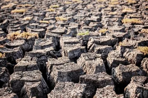 Ground cracked with texture. Stock Photos