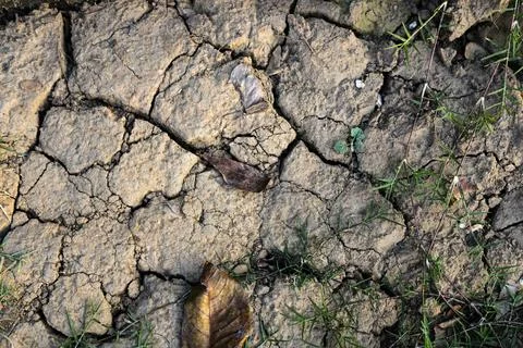 Ground Is Cracking And Drying Out Stock Photos
