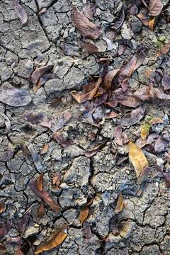 Ground Is Cracking And Drying Out Stock Photos