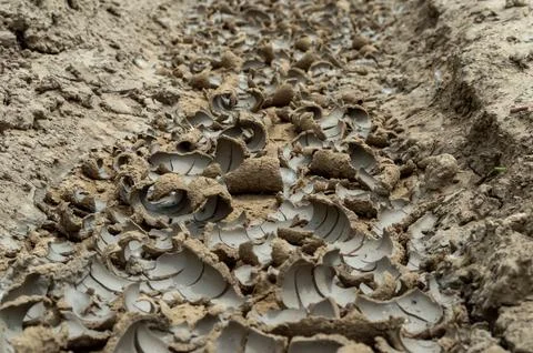 The ground is cracking from severe drought Stock Photos