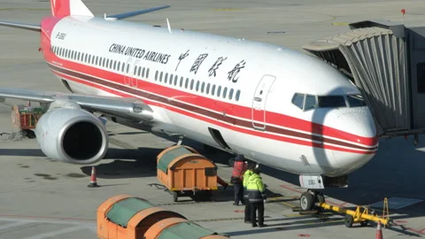 Ground crew are loading luggage into an airplane Vídeos de archivo 307149356
