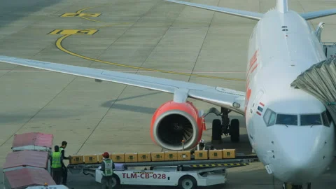 Ground crew unloading aircraft baggage Stock Footage 333102030