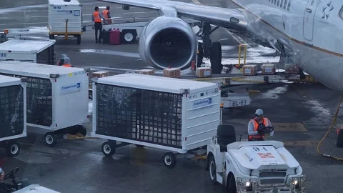 Ground Crew Unloading Shipments From Airplane on Panama City International Video stock 313894020