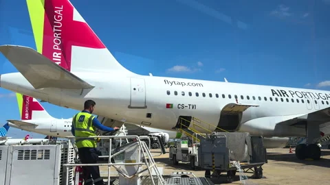 Ground crew working beside TAP Air Portugal aircraft Видео 328707174