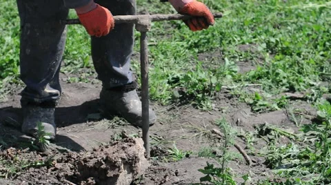 Ground drilling with hands, rotating tube with workers removing dirt Stock Footage 51035300