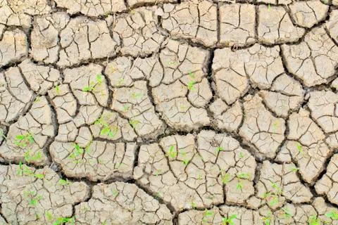 Ground drought Stock Photos