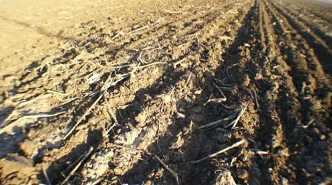 Ground dry field 스톡 동영상 10723141