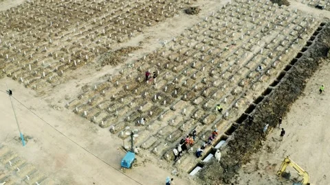 Ground filled with rows of Covid-19 victims grave Stock Footage 157675786