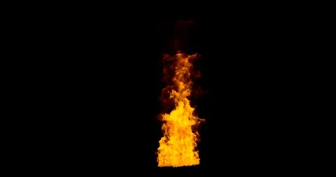 Ground Fire Stock Footage