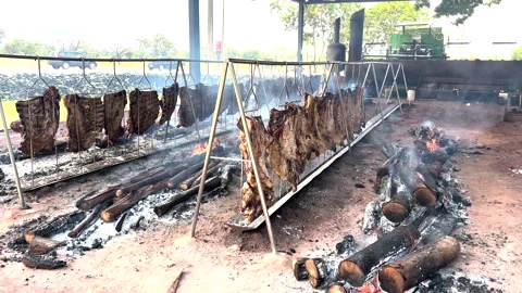 "ground fire", traditional gaúcho method of roasting meats over an open fire Stock Footage 260837494