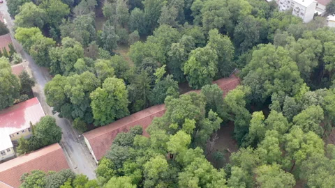 Ground-floor buildings surrounded by trees Stock Footage 159966469