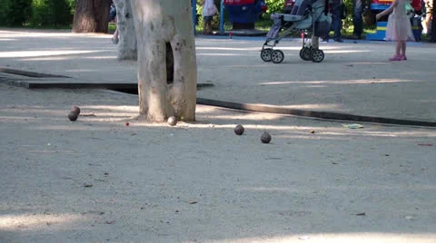 Ground 스톡 동영상 25042477