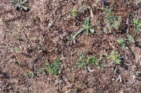 Ground with grass background Stock Photos