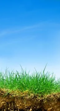 Ground, grass, sky. cross section of three elements of nature. vertical 스톡 사진