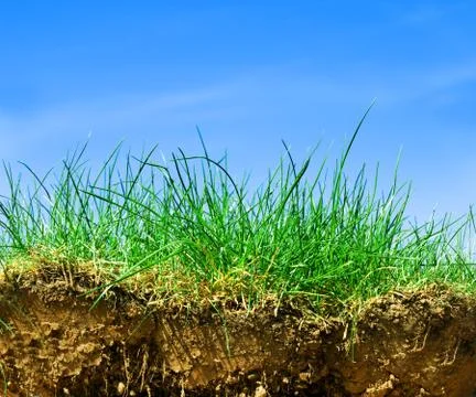 Ground, grass, sky. cross section of three elements of nature. 스톡 사진