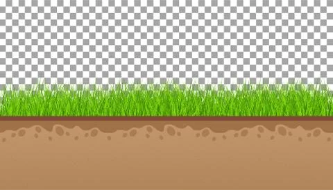 Ground  with green grass On a transparent background. Vector illustrations Stock Illustration