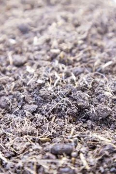 Ground for growing plants,Soil surface Stock Photos