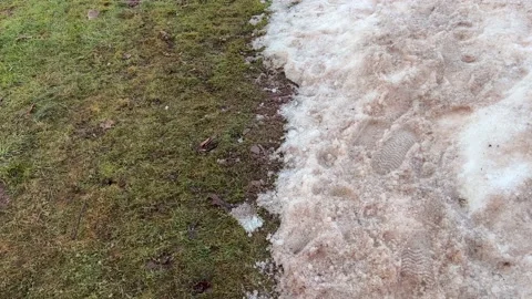 Ground half covered with snow Stock Footage 232048233