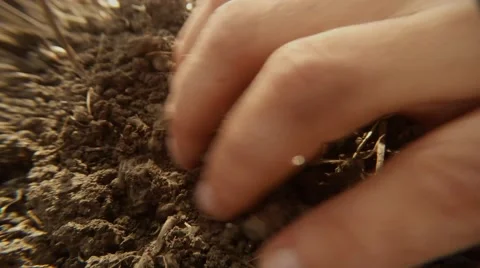 In Ground Hand Dig Out Treasure Old Soviet Silver Coins of Early Ussr Close up 스톡 동영상 67163889
