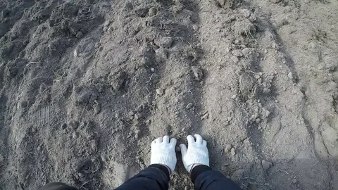 Ground in hand Stock Footage