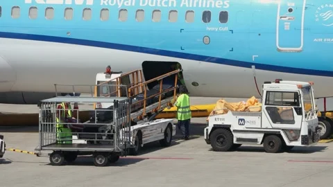 Ground handlers unloading luggage from KLM Royal Dutch Airlines airplane Stock Footage 342278327