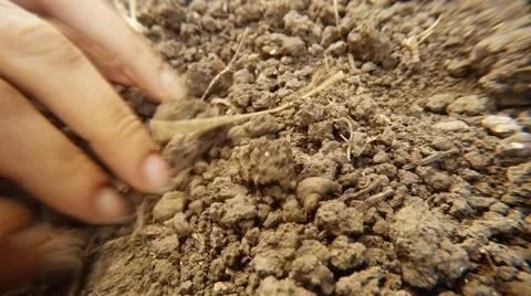 In Ground Hands Dig Out Treasure Old Russian Czarist Silver Coins Close up 스톡 동영상 67092029